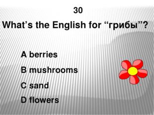 30 What’s the English for “грибы”? A berries B mushrooms C sand D flowers 