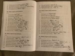 Сборник грамматические упражнения 5 класс ответы